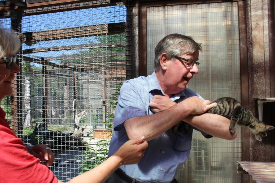 Auf der Katzenstation des Tierheims Oberkirch: Hanni hat keine Lust, von Willi Stchele gekrault zu werden und sucht lieber das Weite.