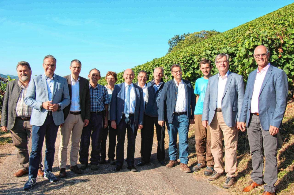 Bei der Weinlese der Sorte Sptburgunder Rotwein mit 95 Grad Oechsle im Tiergrtner Gewann Ulmenhardt (von links): Dieter Blae, Markus Ell, Christoph Lipps, Josef Huschle, Monika Huschle, Thomas Krechtler, Alois Huschle, Jrgen Muler, Landwirtschaftsm